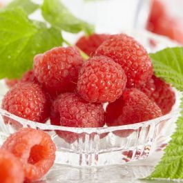 Buy Raspberry Malling Promise affordable | Gardens4You.co.uk