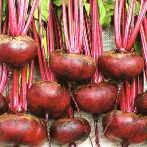 Beetroot Egyptian turnip rooted