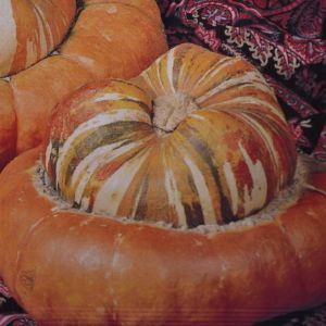 Ornamental Gourds Turkish Turban