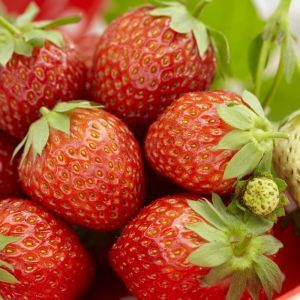 Strawberry Korona x 5